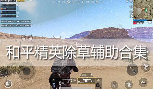和平精英天钺辅助怎么用