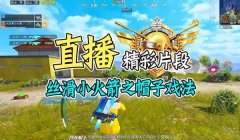 戏法和平精英辅助软件