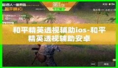 和平精英开辅助怎么开