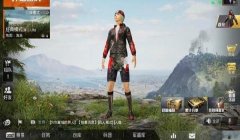 和平精英辅助助手领皮肤