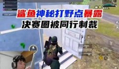 辅助打野和平精英的软件