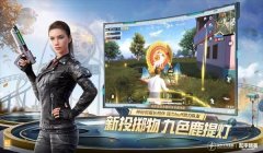 和平精英国际服辅助破解