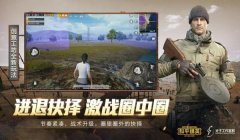 和平精英谢幕辅助没效果