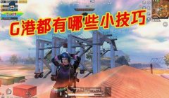 和平精英仙某某压枪技巧