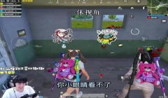和平精英一休开辅助瞄准吗