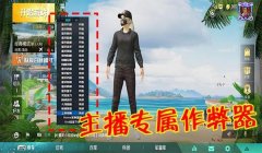 和平精英辅助的东西有哪些