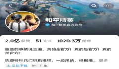 腾讯和平精英辅助工具下载