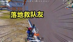 和平精英辅助队友回泉水