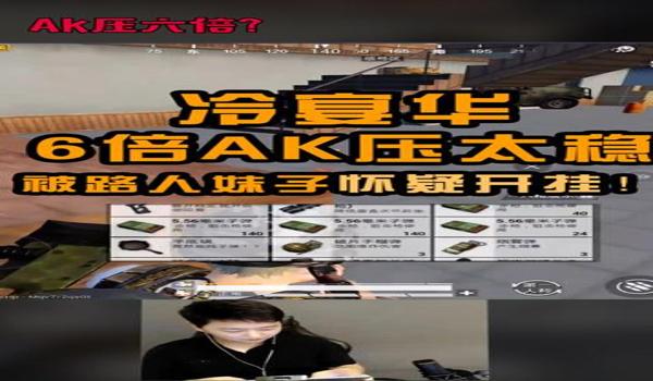 和平精英六倍压枪超稳