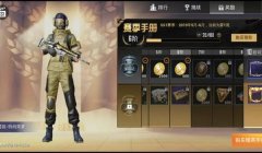 和平精英最牛辅助装备排名