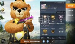 和平精英波比辅助授权吗