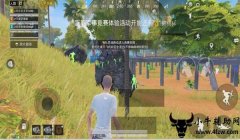 和平精英团战胜利辅助