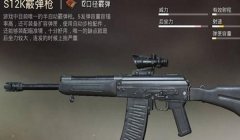 和平精英最稀有的辅助武器