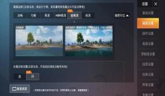 和平精英华为手机辅助功能