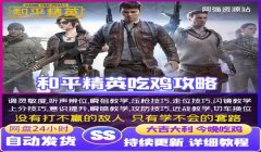 和平精英辅助如何设置按键