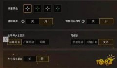 和平精英辅助一般在哪设置
