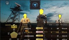 和平精英辅助有什么功能