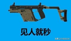 和平精英变态辅助怎么玩