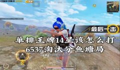 和平精英全局辅助软件