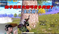 和平精英弓箭辅助怎么设置