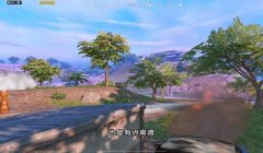 准星辅助器和平精英下载