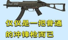 和平精英检测枪械的辅助