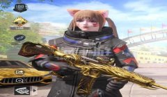和平精英猫咪辅助官网