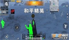 和平精英哪个辅助伤害高