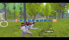 和平精英恶魔辅助稳不稳