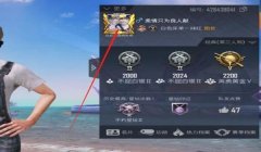 和平精英qq怎么辅助好友