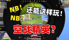 和平精英队友全程打辅助
