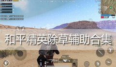 和平精英收割机辅助软件