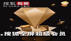 辅助低价发卡网和平精英
