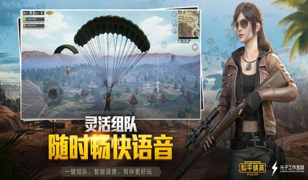 和平精英最快辅助软件下载