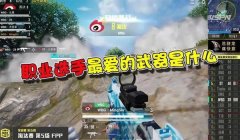 和平精英本命辅助怎么获得