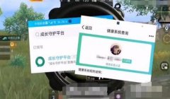 和平精英实名认证辅助器
