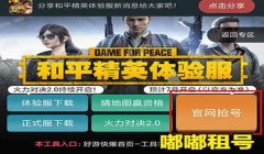 和平精英黑玫瑰辅助正版