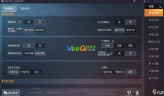 辅助设置和平精英怎么设置