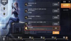 和平精英辅助需要注意什么