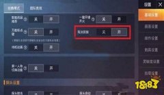 辅助跟随在哪里开和平精英