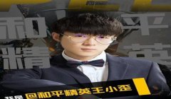 和平精英大仙辅助怎么样