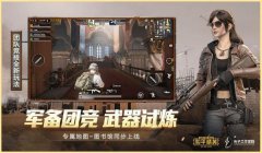 国际服玩和平精英压枪