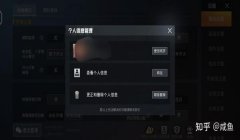 和平精英改名辅助工具下载
