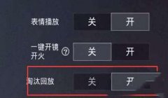 奔放和平精英辅助怎么开