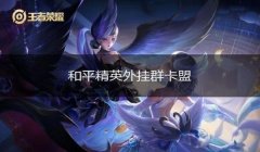和平精英辅助卡盟怎么用