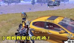 保时捷辅助和平精英多少钱