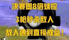 和平精英辅助妹控软件下载
