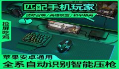 和平精英辅助键盘测评软件