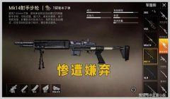 和平精英辅助awm子弹