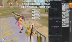 和平精英小魔姐压枪视频